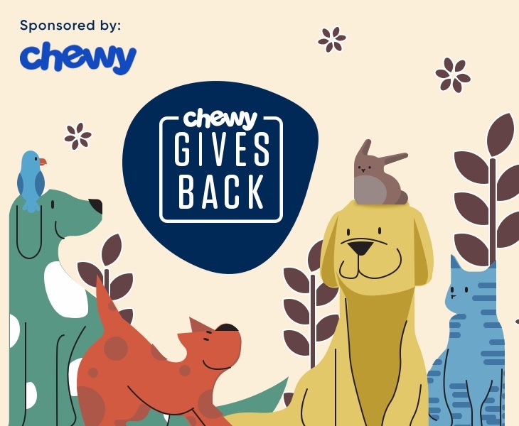 Chewy